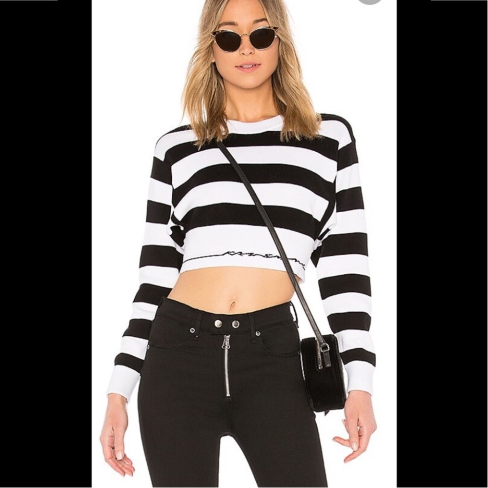 Rag & Bone Black and White Striped Sharon Sweater Crop Top